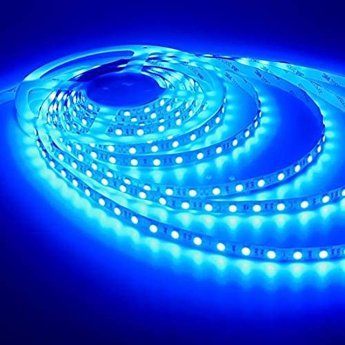 LED Strip Light Blue 3M 5050 Waterproof 220V