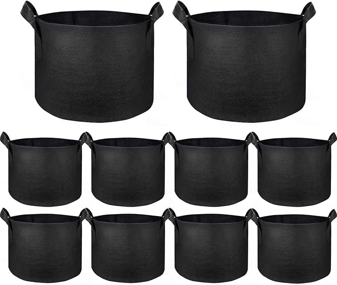 3 Gallon Grow Bags, Heavy Duty Thick Fabric Pots with Reinforced Handles, Fabric Pots for Planting Vegetables and Fruits, (10 Pack)