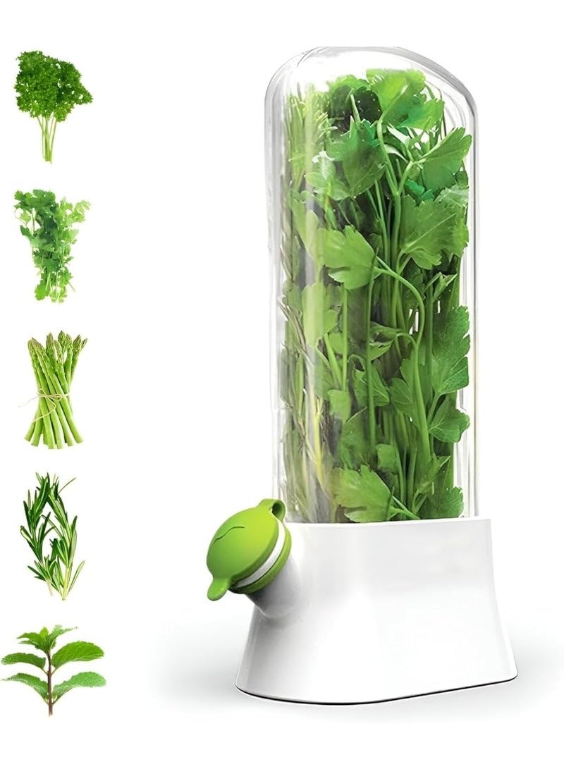 storage cups - Airtight containers for storing fresh herbs such as parsley, coriander, rosemary, and more - 27 x 15 cm, keeps herbs fresh for up to 3 weeks