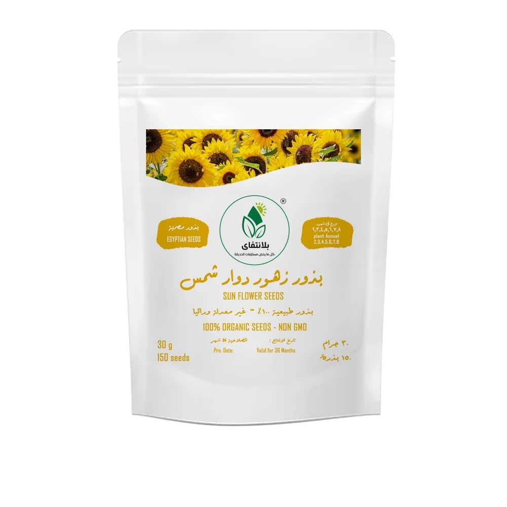 Organic Egyptian Sunflower Seeds, Non-GMO, 30g Pack, 150 Seeds