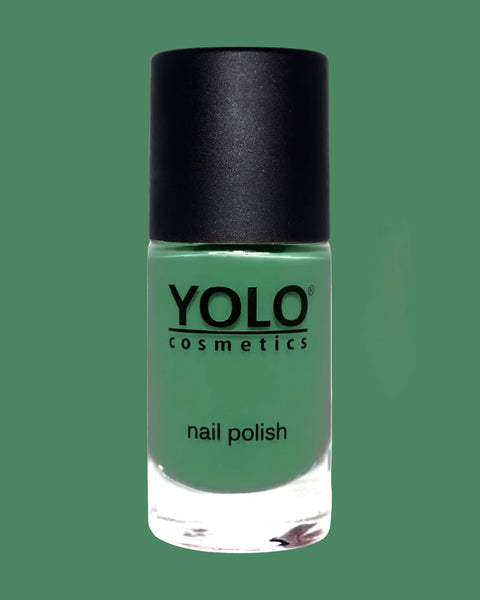 YOLO