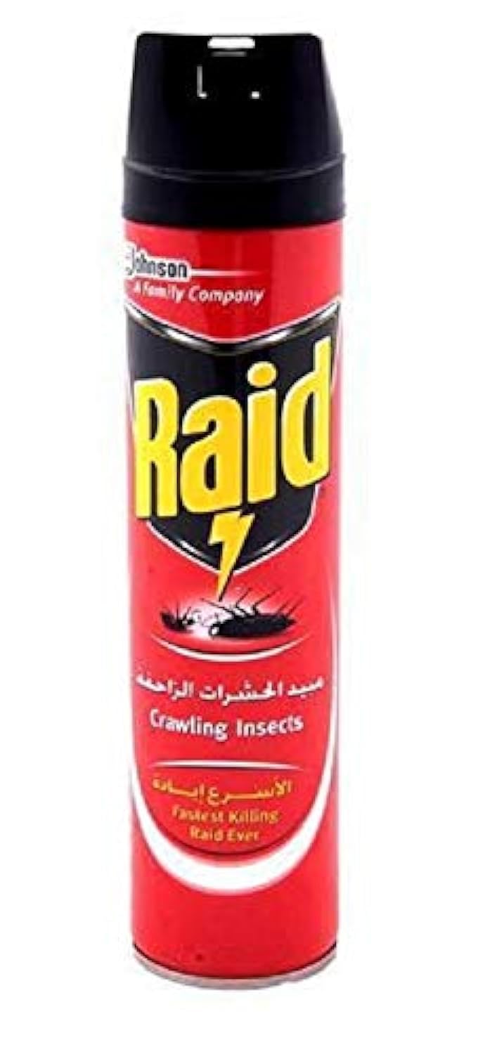 Raid