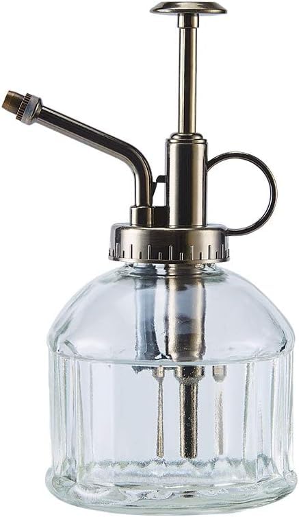 Glass Plant Mister, 6.5" Tall Vintage Spritzer, Succulent Watering Bottle with Top Pump, Small Sprayer Watering Can for Indoor Outdoor House Plants - Clear