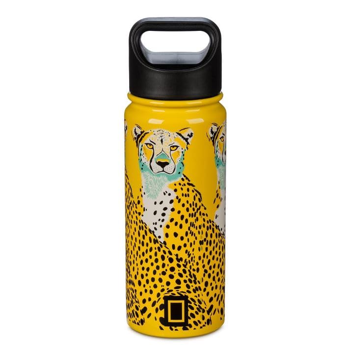 Disney National Geographic Cheetah Stainless Steel Water Bottle | shopDisney