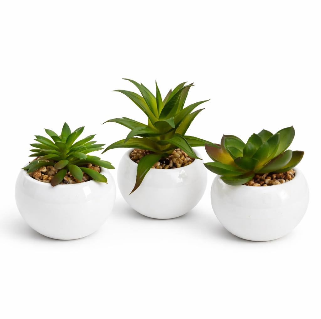 Set of 3 Small Artificial Plants in White Ceramic Pots Spherical Shape – Artificial Plants for Home and Office Decor – Elegant Modern Table Decor