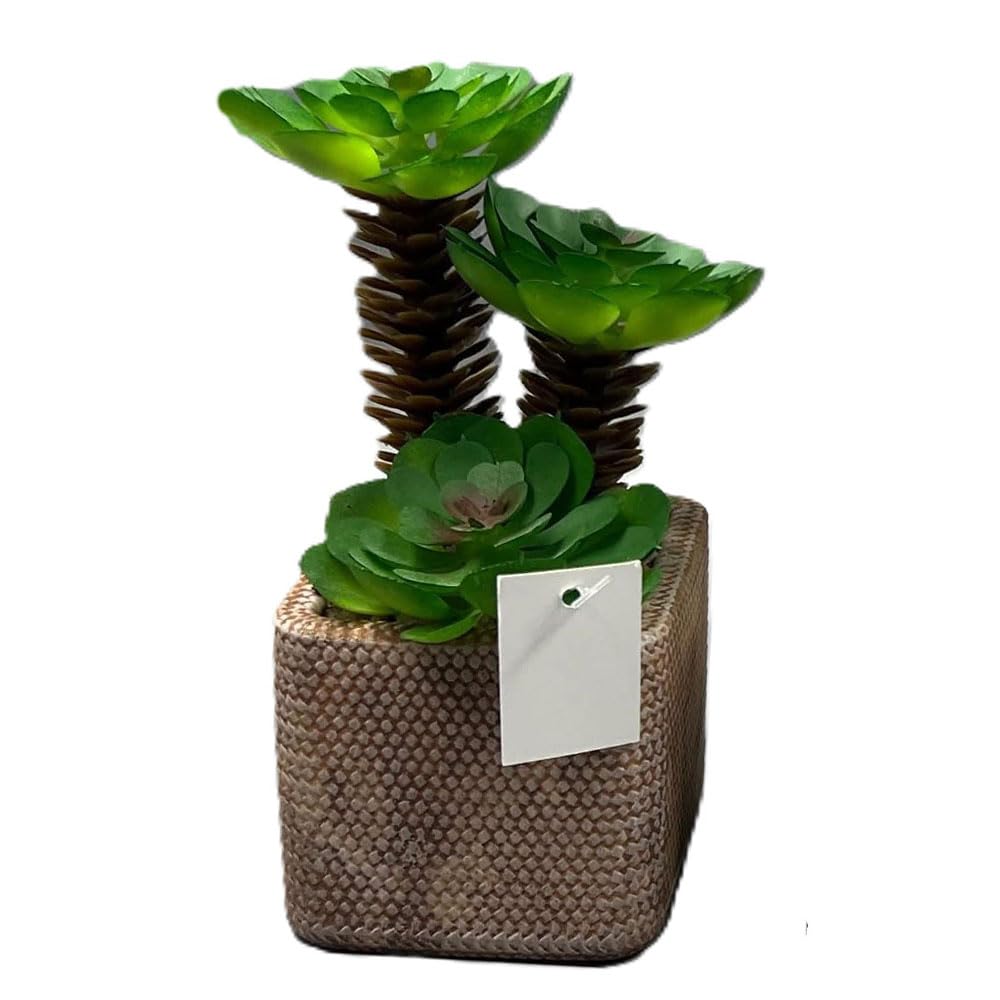 Artificial Succulent Plant with Ceramic Pot, Brown and Grey, 18cm Height, Round Shape, Home Decor, Indoor Use (Brown)