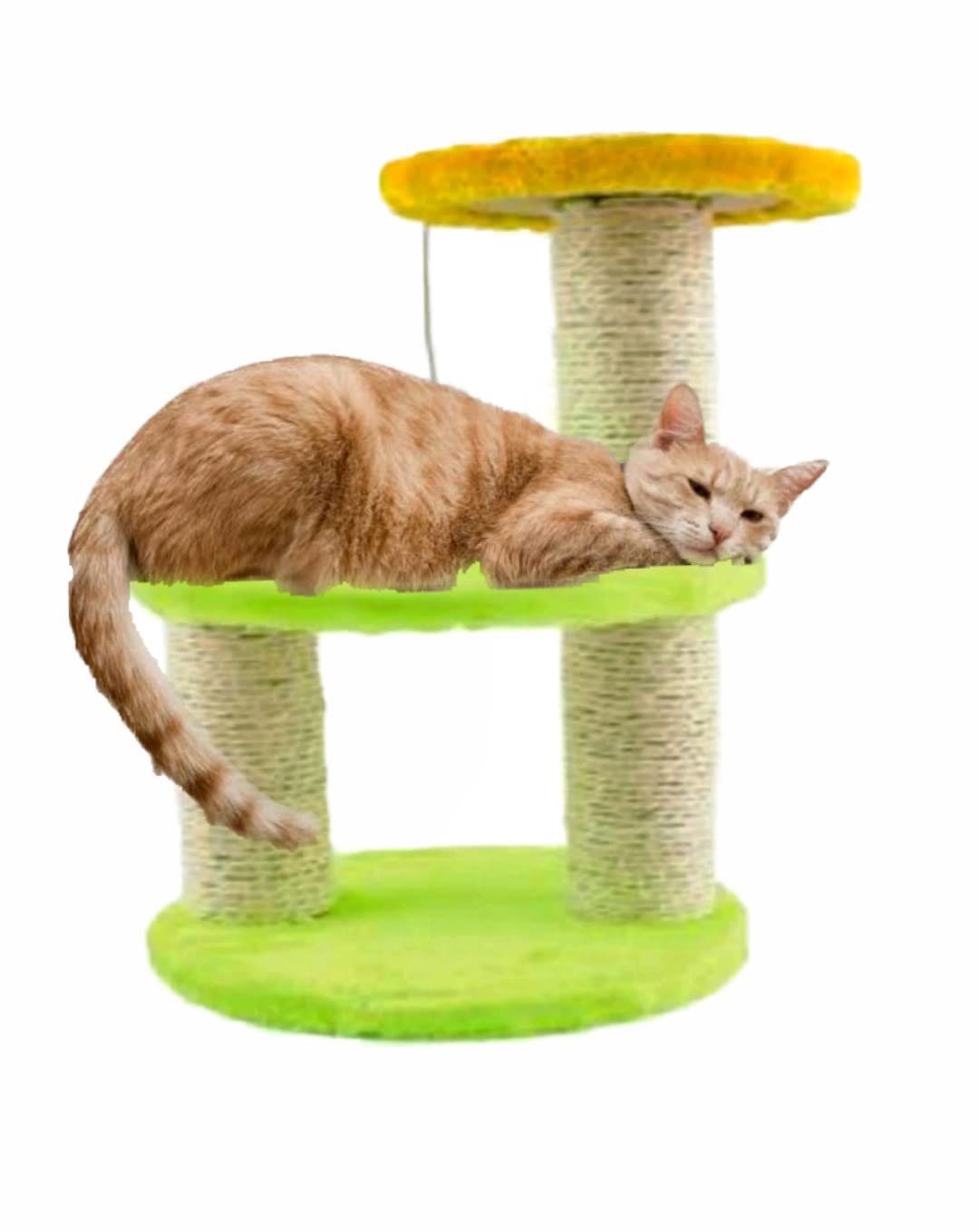 Plush Covered Cat Scratching Post - Green - Disassemble and Install