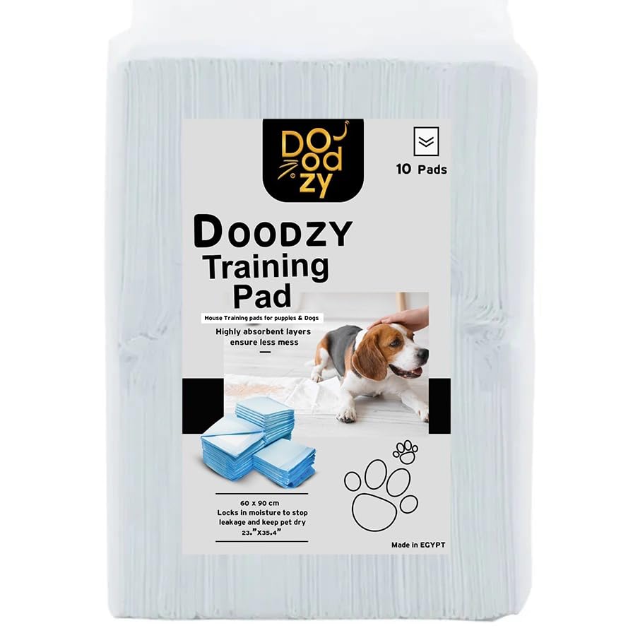 DOODZY Pads Dog Training Sanitary Proof Pads for Potty Training Disposable Absorbent Quick Drying Leak