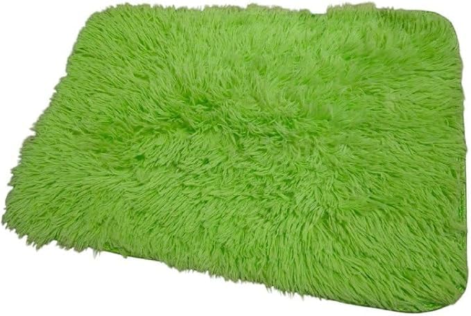 Grip Fluffy Faux Fur Rug, Machine Washable Soft Furry Area Rugs (Mint Green) 60 * 40 cm