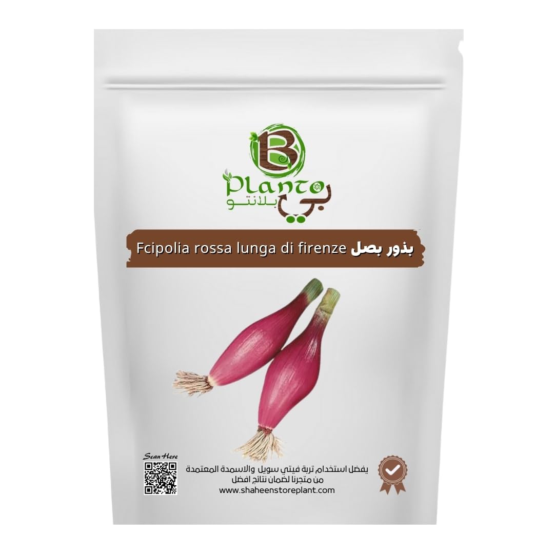 Florence Long Red Onion Seeds (Cipolia Rossa Lunga di Firenze