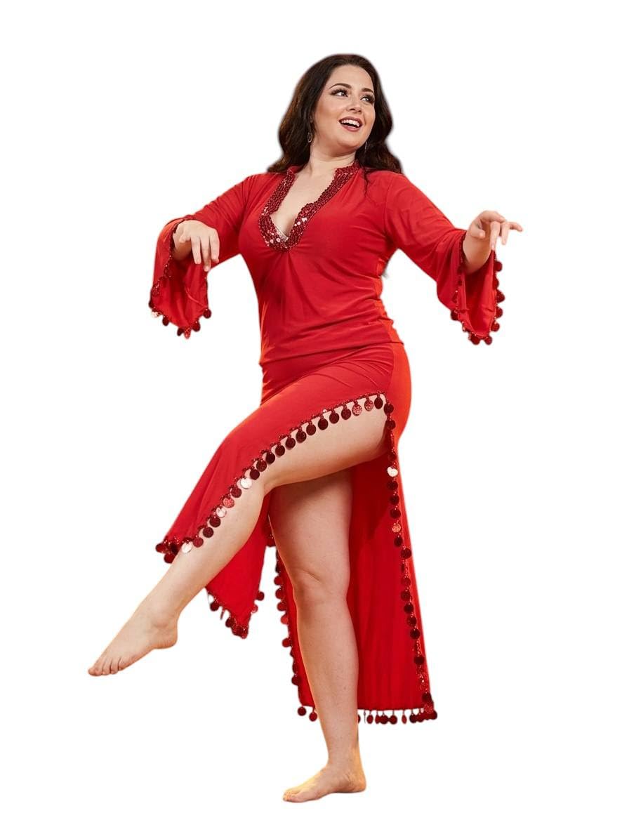 Women's Belly Dance Suit Lingerie One Size Elegant V Neck Sequins Puff Sleeve Skirt Side Slit Skirt