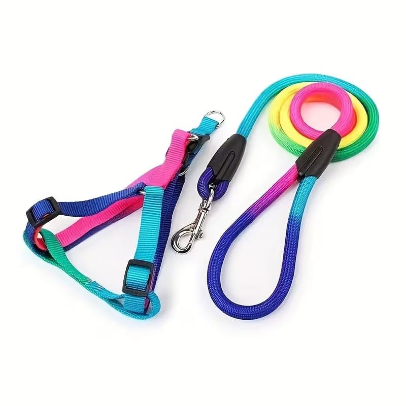 Colorful Rainbow Dog Harness and Leash Set – Adjustable No-Pull Reflective Nylon Vest with Comfort Chest Strap for Small, Medium, and Large Dogs (Puppy and Small Dog)