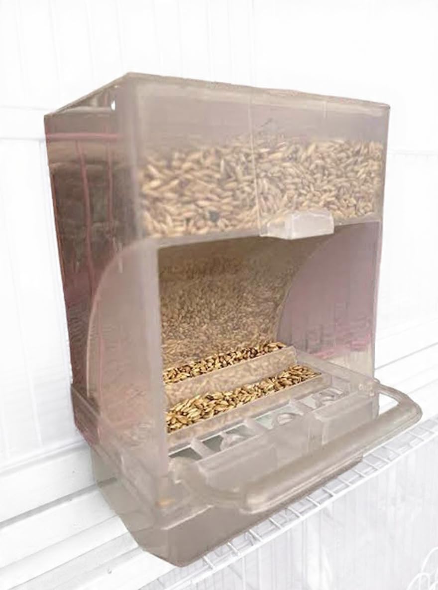 Smart Bird Eater, Automatic Bird Feeder