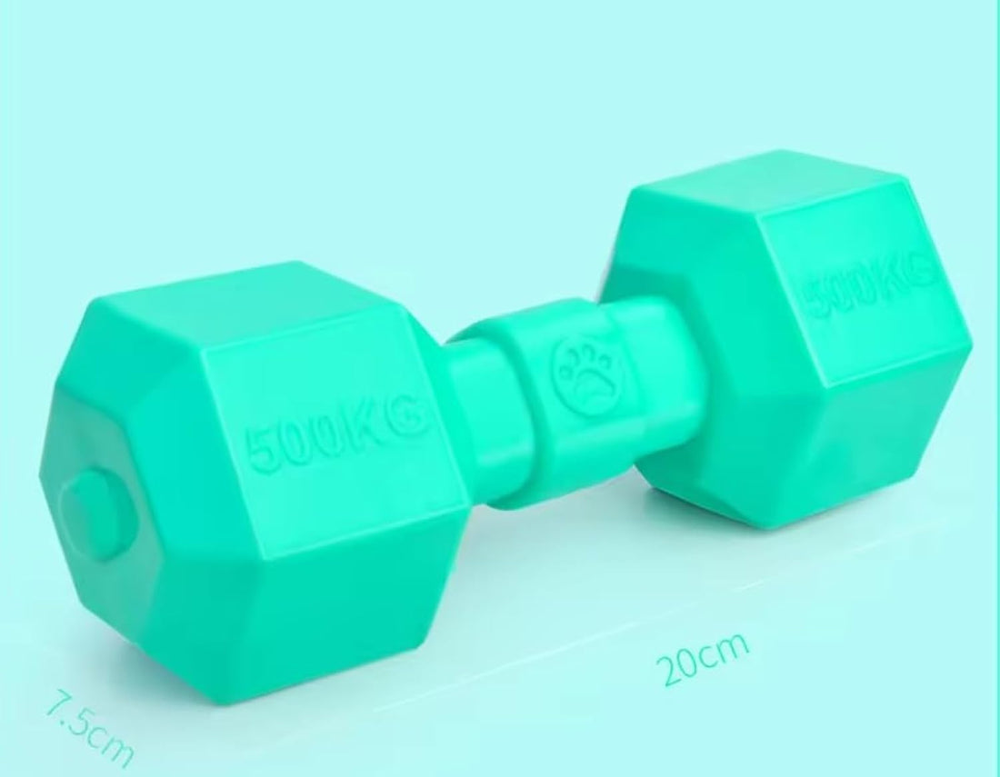 Cool Dog Toy Strong DUMBBELL (Turqouise)