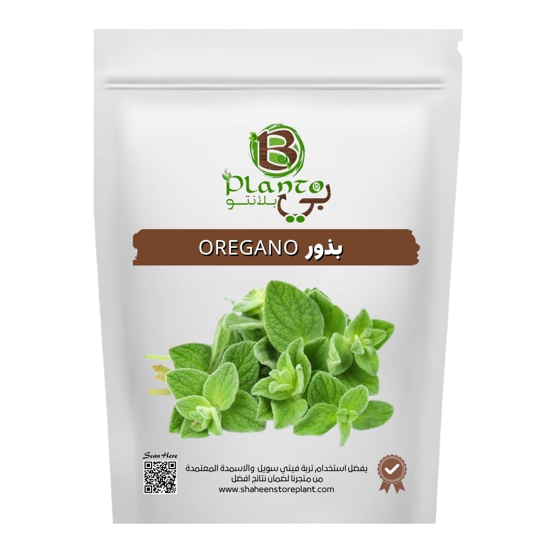 OREGANO Seeds