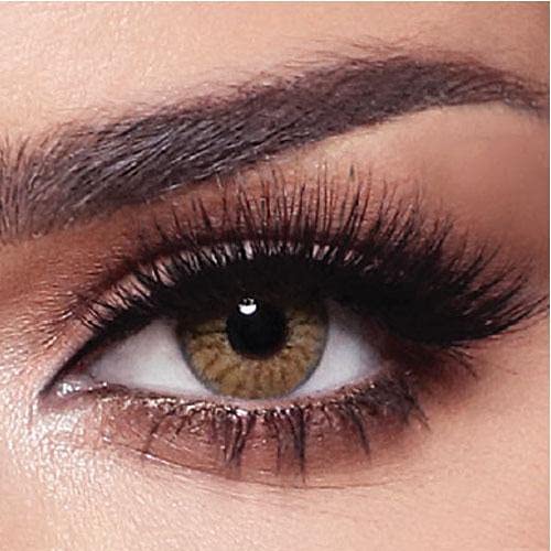 Bella Colored Lenses - Daily - Radiant Hazelnut -4.00