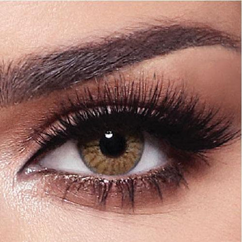 Bella Colored Lenses - Daily - Radiant Hazelnut -4.00