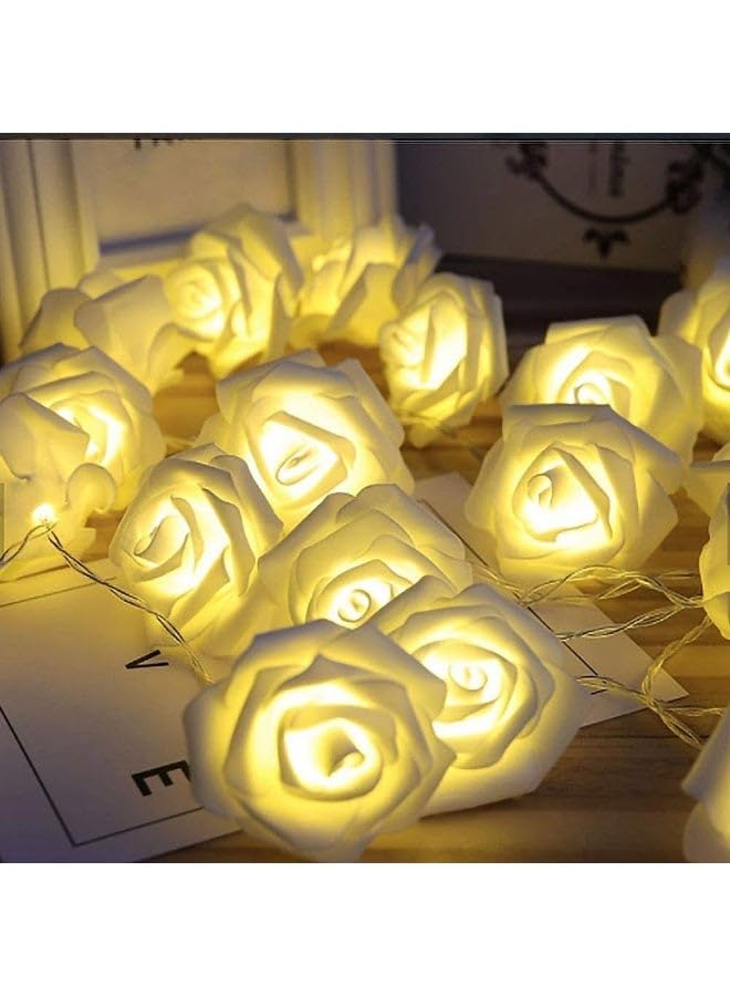 SHOP White Rose LED Garland â€“ 20 Steady Lights with Plug and Warm Glow for Home Décor2M