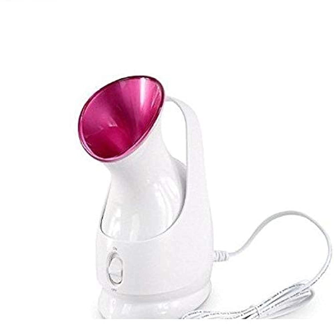 Pro Household Nano Care Ionic Mini Facial Steamer Facial Spa Personal Beauty Face Care