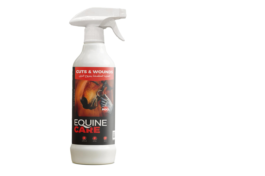 EQuineCare – Cuts & Wounds(500ml)