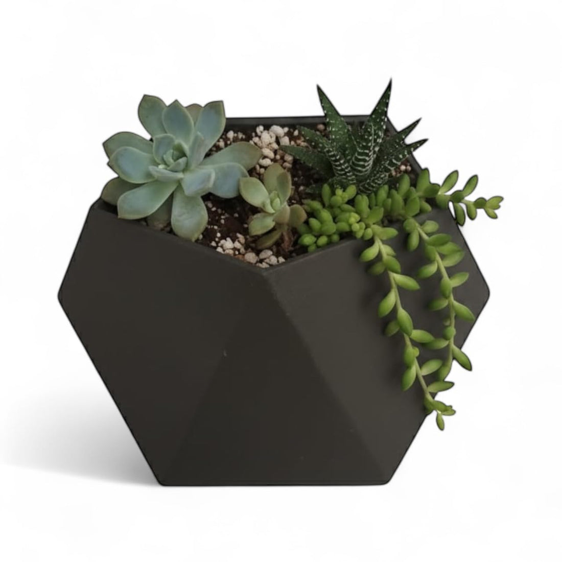 Downtown Modern Hexagonal 3D Printed Wall Planter, Black PLA Succulent Container for Indoor and Outdoor, Geometric Wall Mount Pot for Flowers and Small Plants to Enhance Home Decor