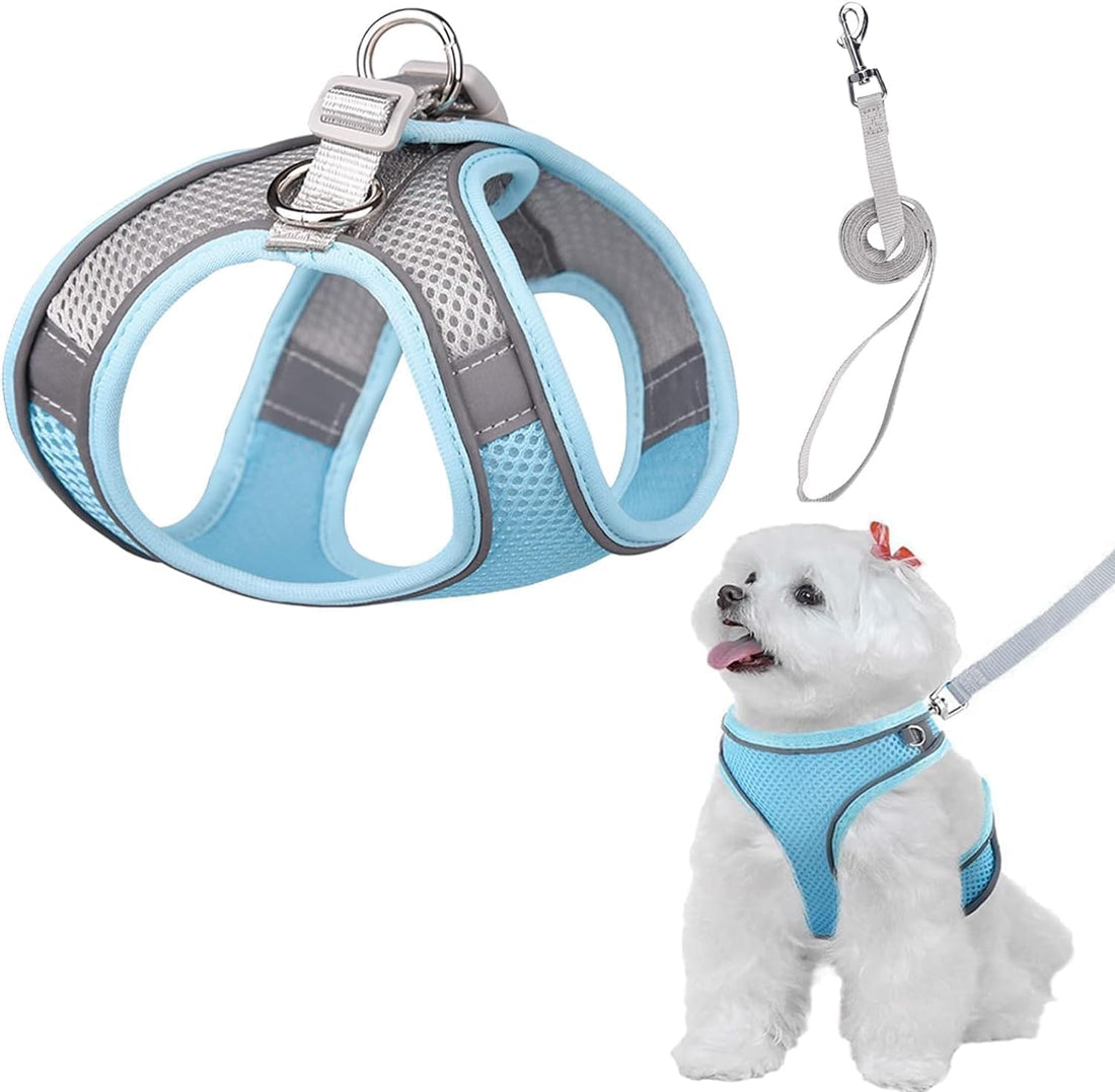 Dog Harness and Leash Soft Mesh Set for Walking Step in Vest Harness Reflective Bands Adjustable No Pull Pet Supplies (BLUE, S)