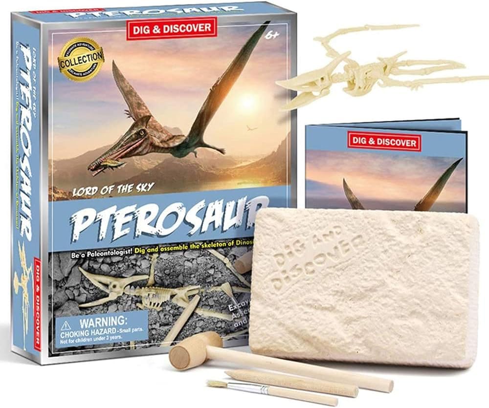 Lord Of The Sky Pterosaur Digging Set - D7148