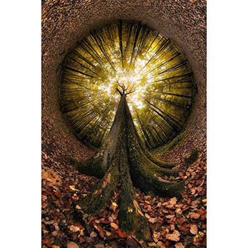 Four Centuries High Wall Canvas Print By Francois Casanova