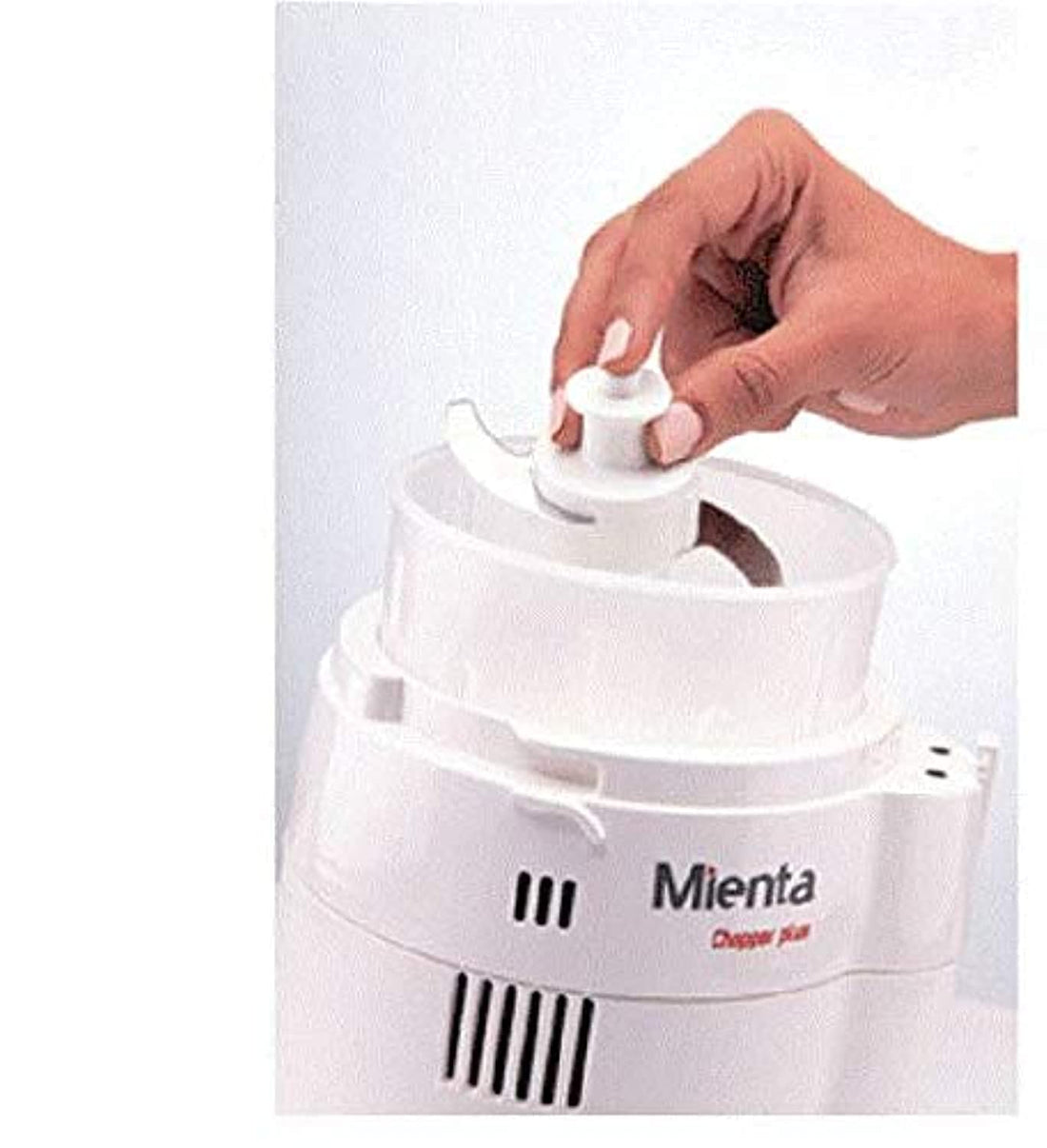 Mienta