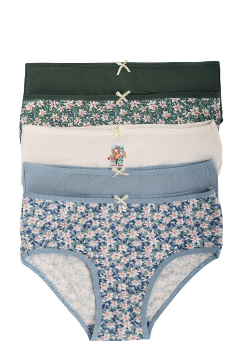 CARINA Womens Pack of 5 Colored Brief Panties Briefs