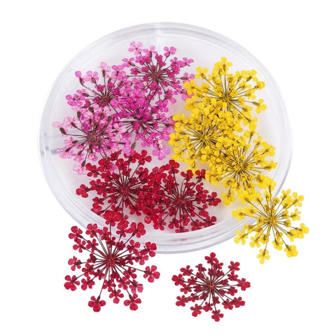 1 Boxes Dried Flowers for Nails Real Nail Flowers 3D Dried l Stickers Decals Decor Manicure Design Art Flower Decorations for Makeup DIY Craft Accessories