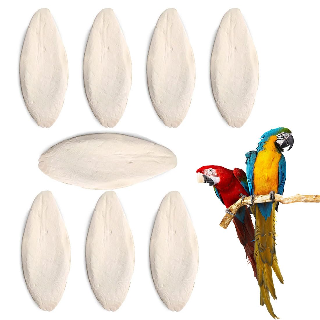 8 Pieces Cuttlefish Bones for Turtles, Cuttlefish Bones for Parrots, Cuttlefish Bones Natural Cuttlefish Bones Bird Chew Toys Calcium Bird Toy for Reptiles Turtles Snails Small Animals