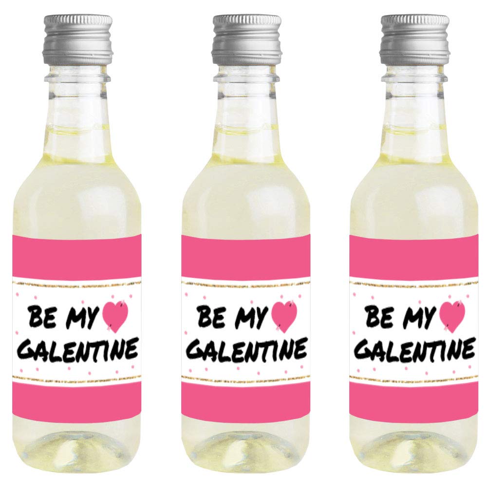 Big Dot of Happiness Be My Galentine - Mini Wine and Champagne Bottle Label Stickers - Galentine’s and Valentine’s Day Party Favor Gift for Women and Men - Set of 16