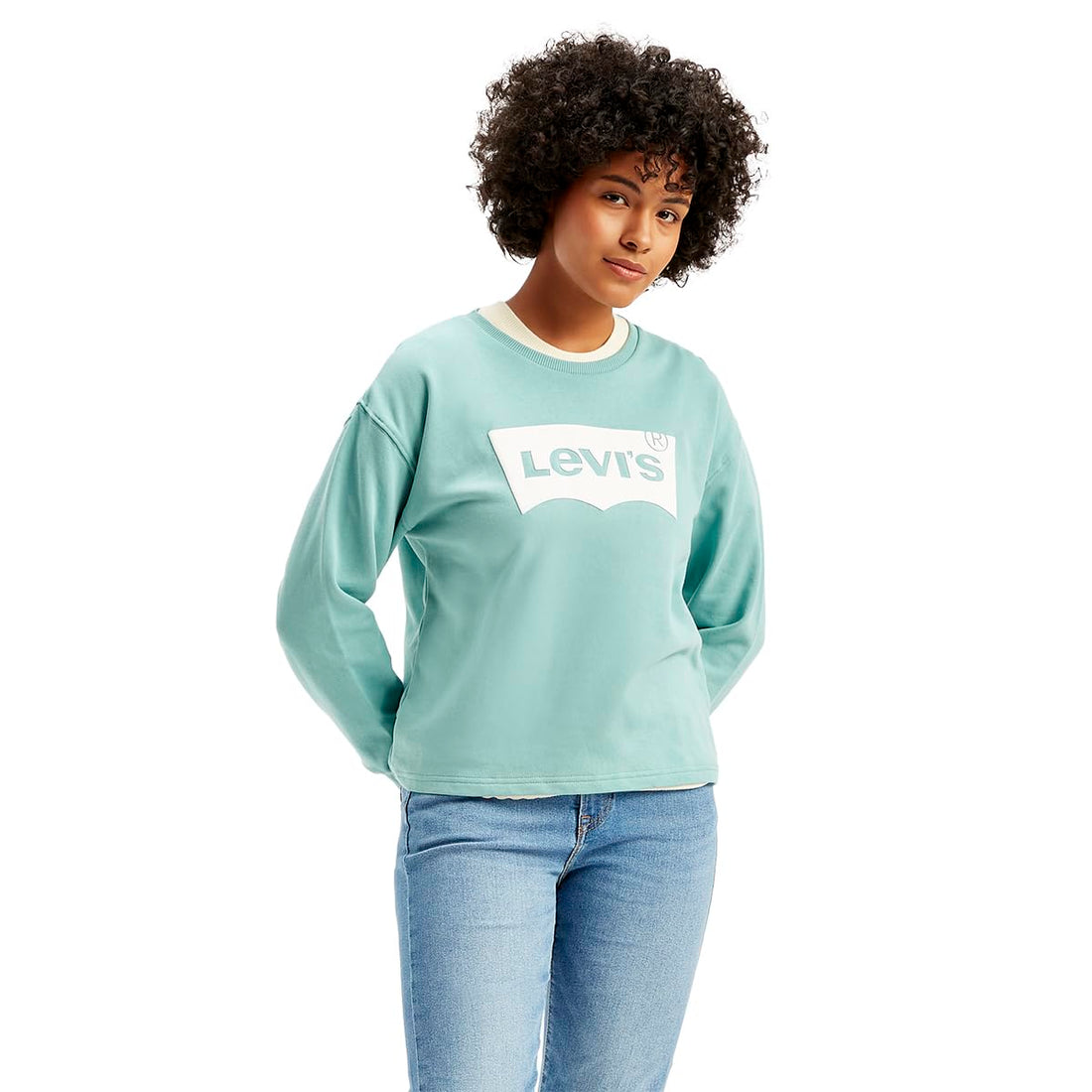 Levi's womens BNG WT Mary LS Tee Sweatshirt (pack of 1)