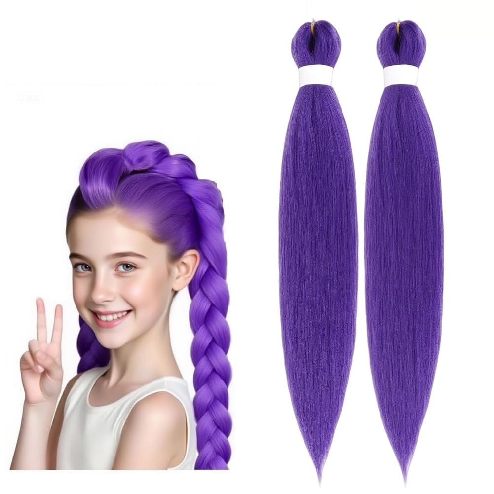 2 Pack Purple Braiding Hair, Rumi Hair Extensions for braids, Synthetic Crochet Braiding Twist Hair (24 inch)