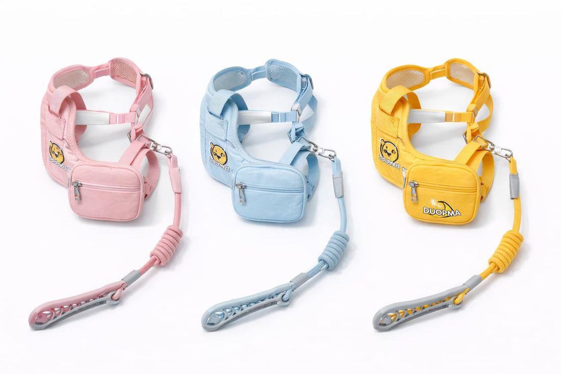 Cat & Dog Harness and Leash Set with Pouch, Small Breed 4-6kg, Available in 5 Colors (Yellow)