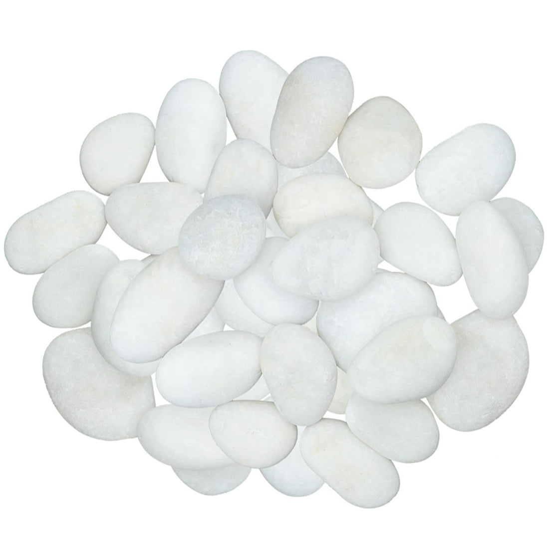 Polished White Pebbles 1-2 Inch 10 Pounds for Plants, 100% Natural Rocks No Filler Decorative Rocks for Gardens, Waterlands, Aquariums, Landscaping and Aquariums, Bright White Paint