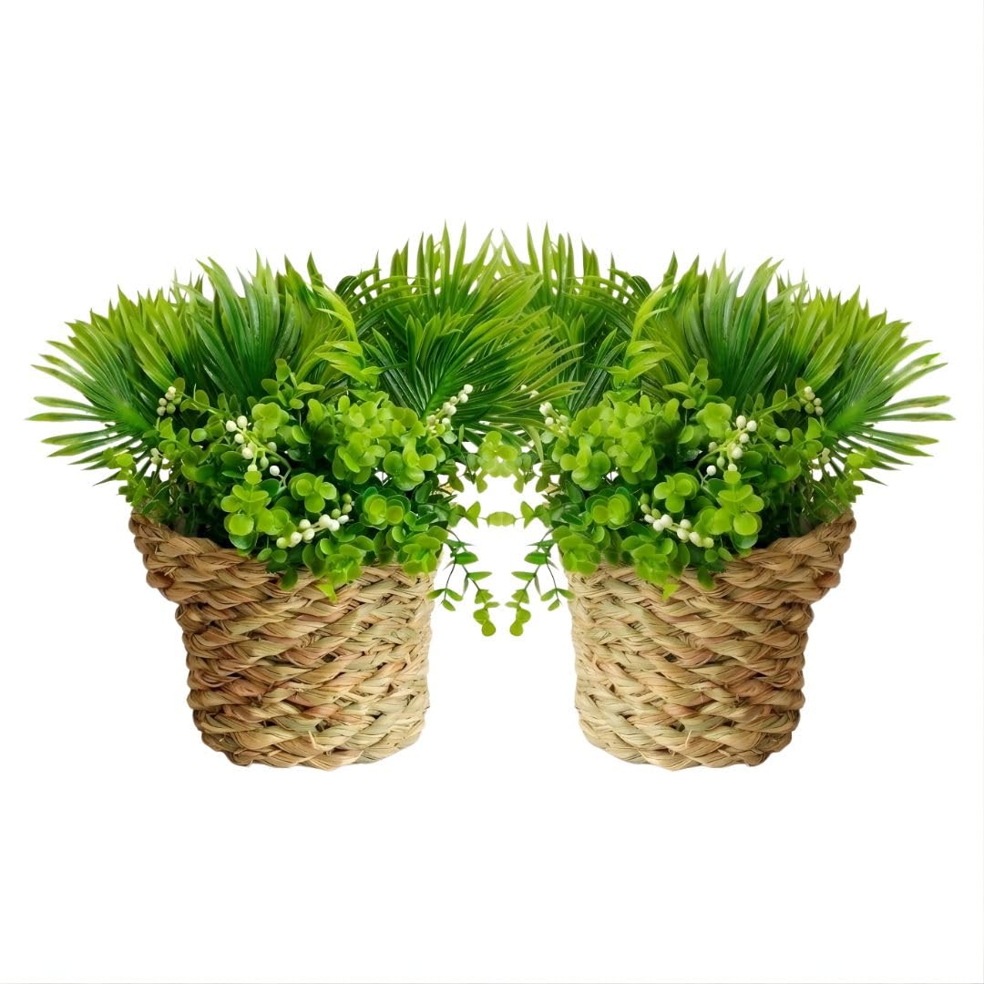 Artificial Plants in Baskets Set of 2 Natural Braided Wicker Plants - Elegant Rustic Bohemian Decor for Tables, Shelves, Walls - Green (Shelves and Tables)