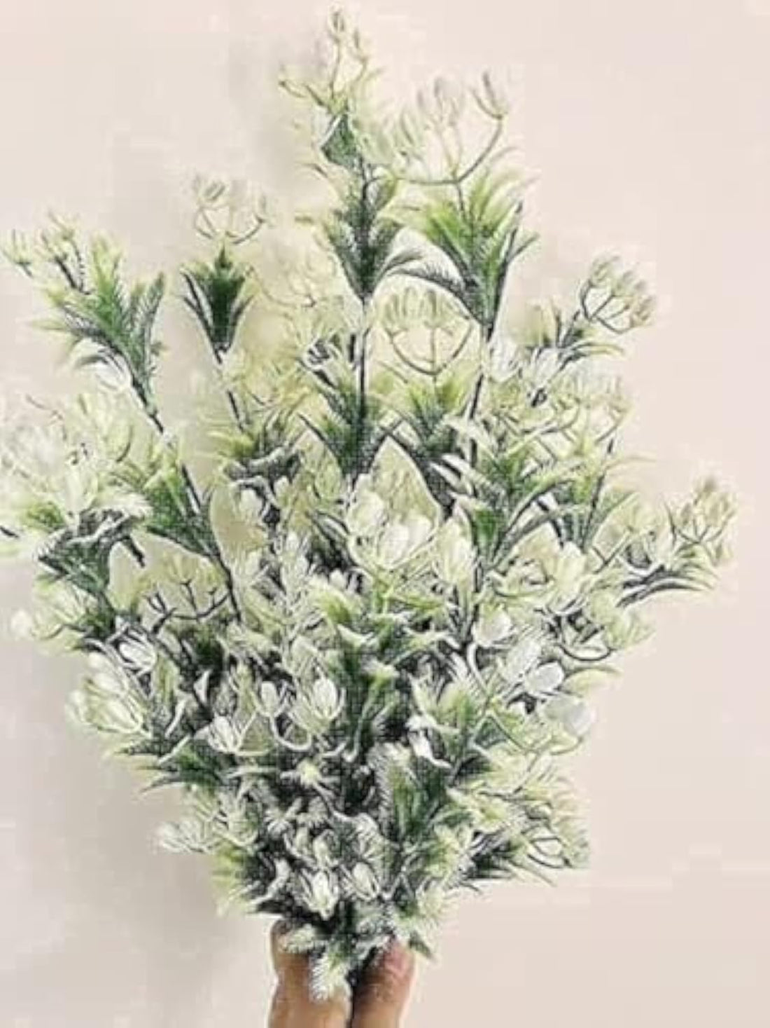 Plant and Artificial Rose, 50cm