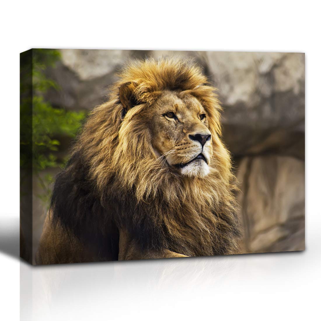 Purple Verbena Art Lion Wall Art Canvas Painting Contemporary Pictures Abstract Lion Canvas Print for Home Living Room Bedroom Decoration 12''x16'' Stretched and Framed