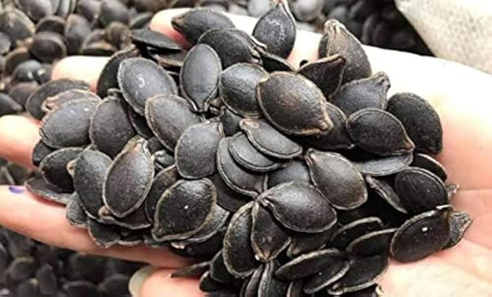 Natural Loofah Seeds - Plant Loofah Seeds