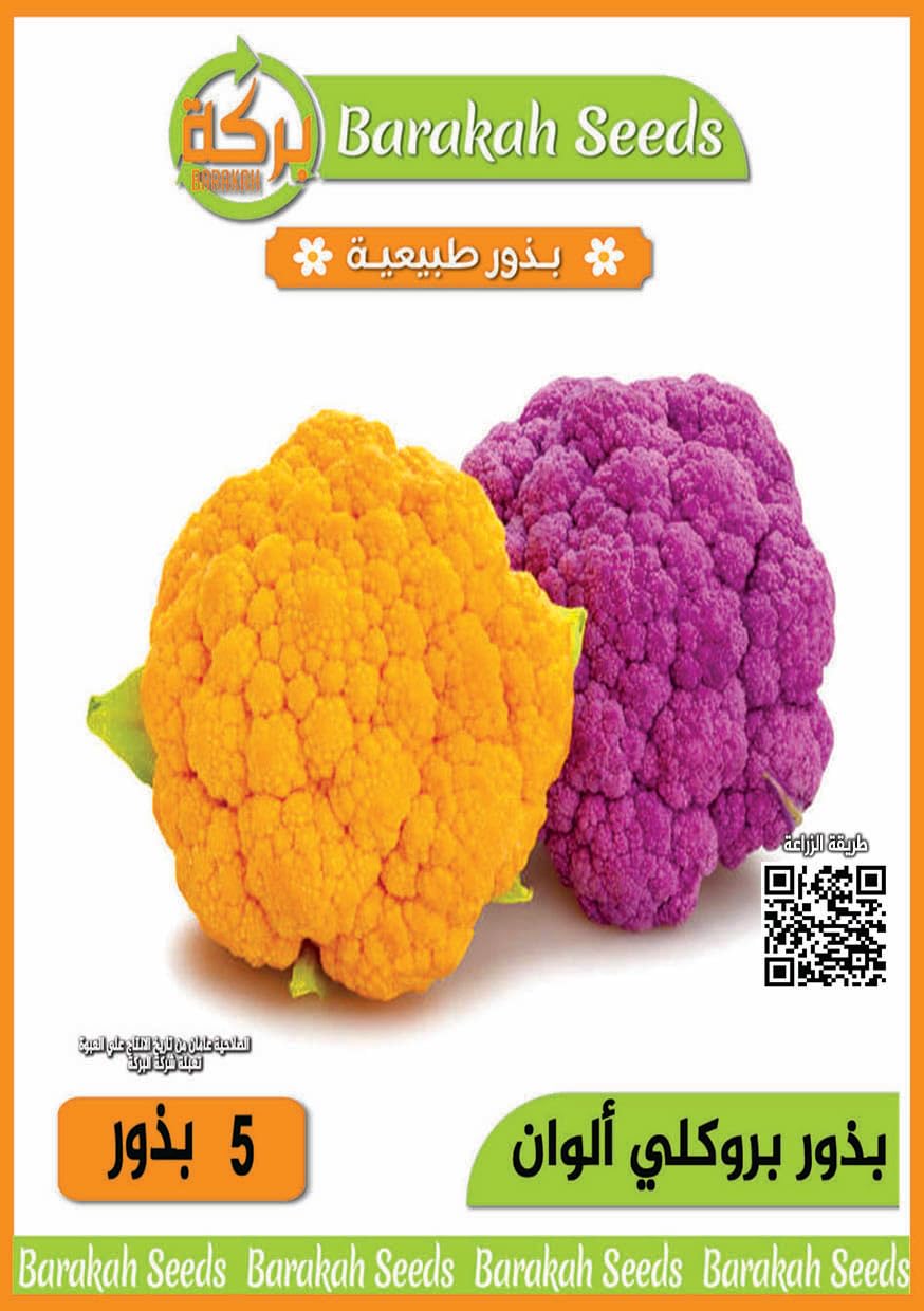 High Germination Vegetable Seeds for Plant (Broccoli Colors, Organic, 1)
