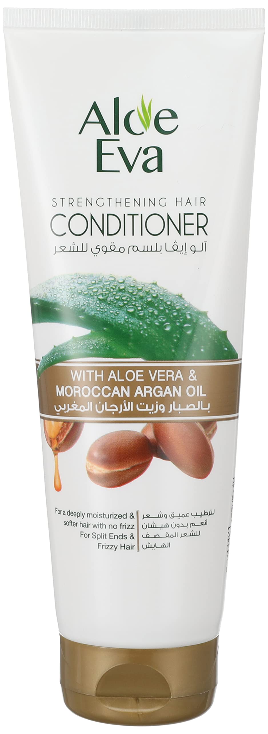Aloe Eva