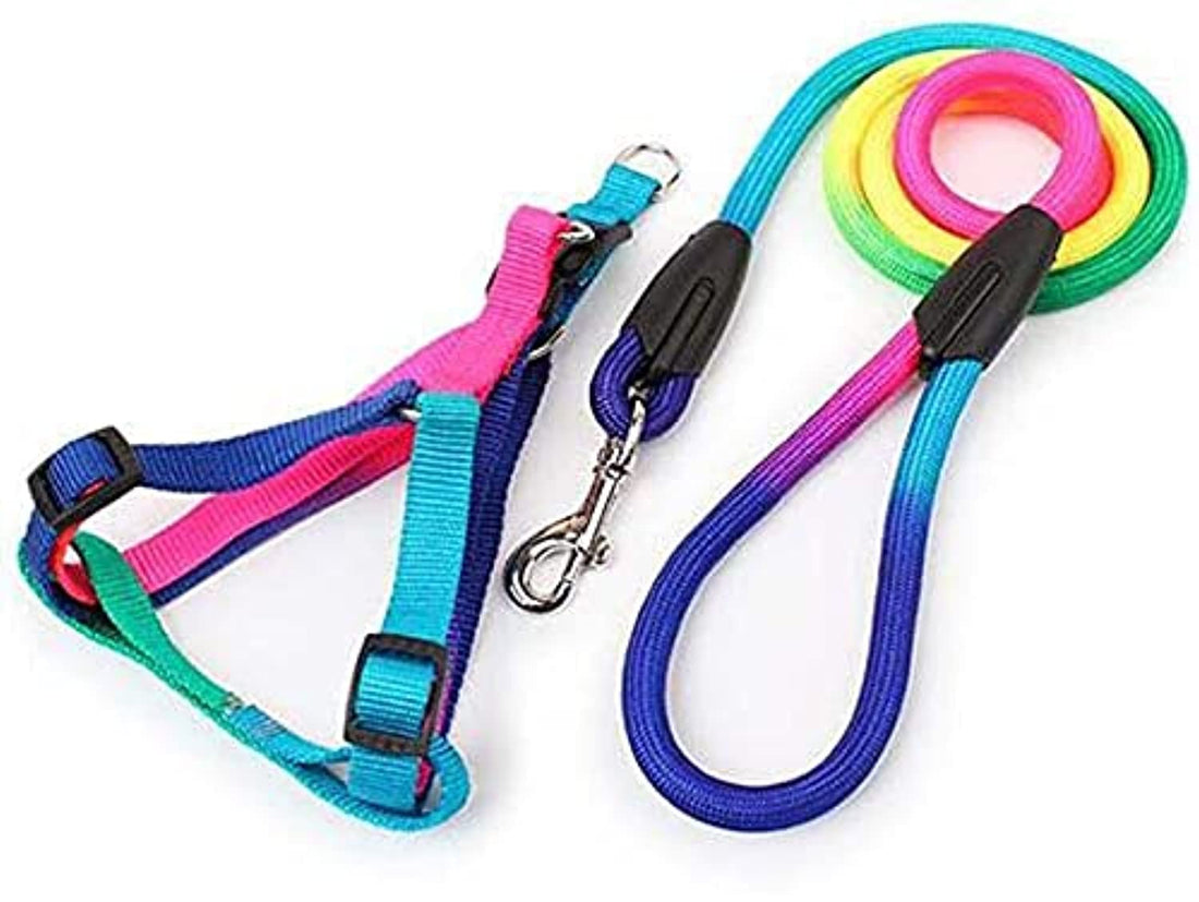 Dog's Harness with Leash (Rainbow, Large)