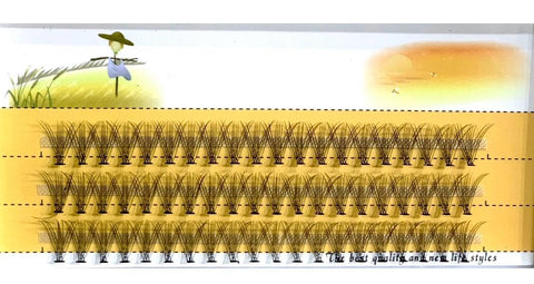 60 PCS - Extensions Individual Lash Volume 6D mink - FREE EYELASHES - Natural Eyelashes 6D -(10 D)-ONE BY ONE