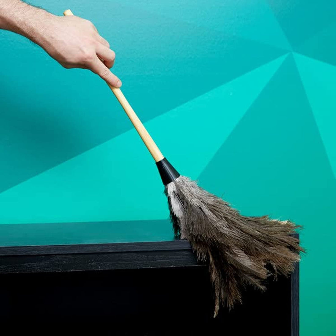 Natural Ostrich Feather Dust Duster