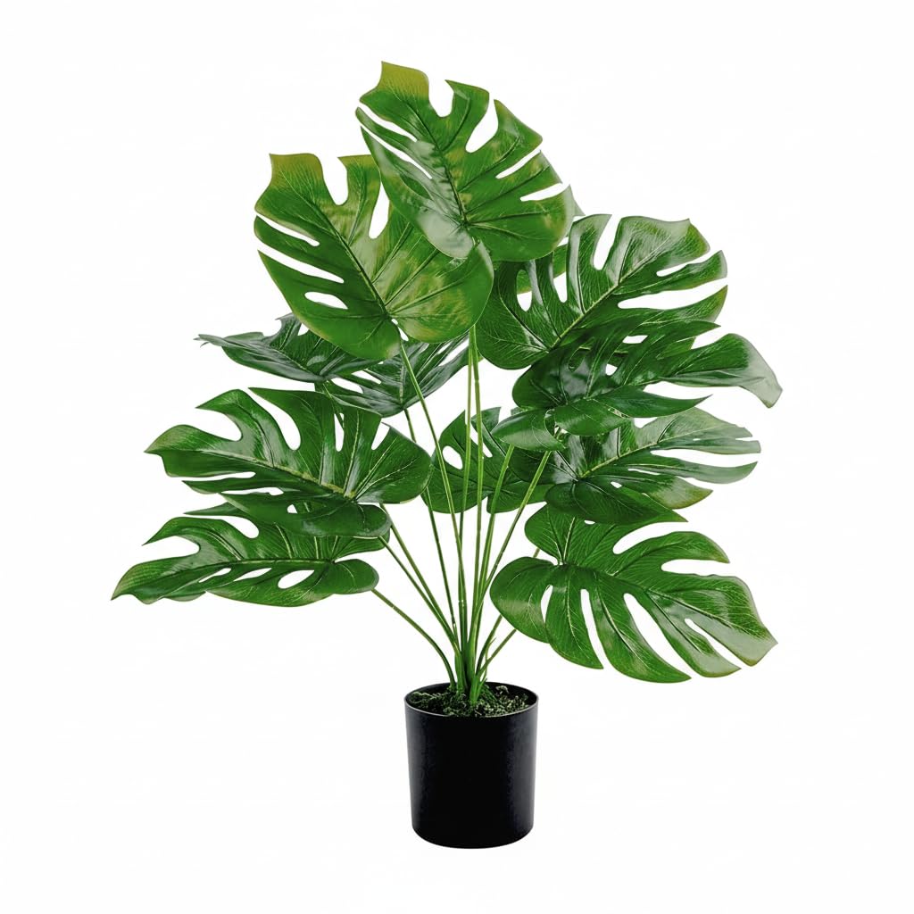 Artificial Monstera Plant 48cm with Black Pot – Realistic Decorative Green Tree – Choice of 12 or 18 Leaves – Modern Decor for Home, Office, Reception – No Watering Required & Easy to Clean (18 Roses)