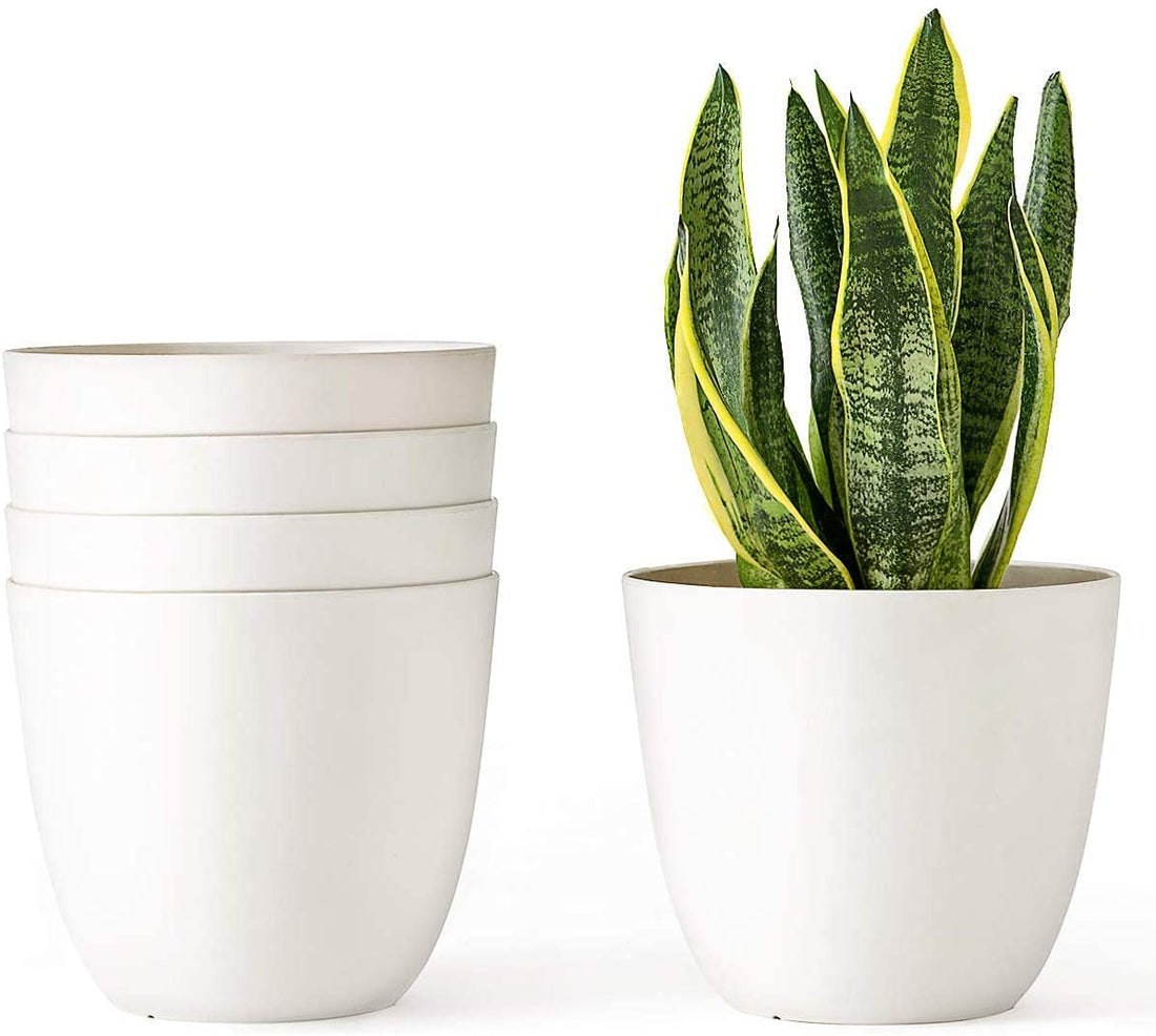 5pcs white color plastic pot (10 cm) from buy to buy