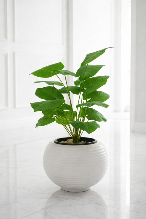 Artificial Plant Realistic Green Leaves Decorative Plant with Elegant Round Acrylic Pot for Indoor Plants for Home Office Living Rooms (Pots)