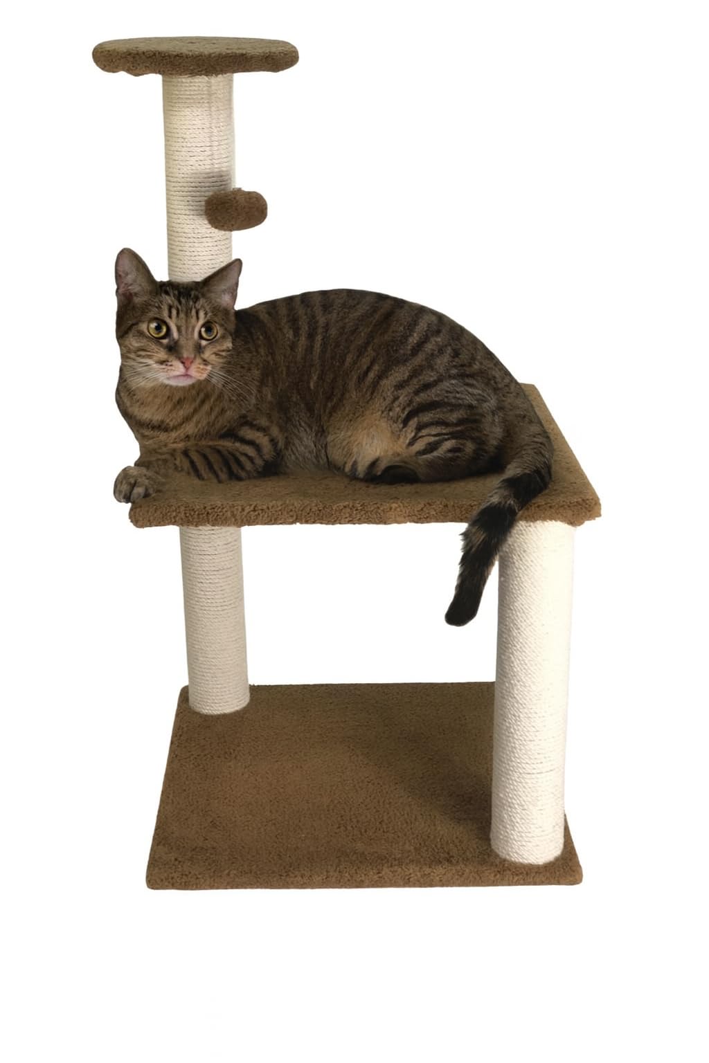 Cat Tree Tower for Indoor Cats, Multi-Level Climbing Frame with Scratching Posts, Plush Perch, Dangling Toy & Sisal Rope, Cat Furniture Activity Center – Pets House & Care, 78cm Height Brown